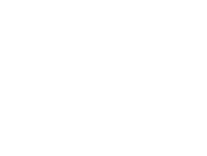 INFO-Bad-Laer-Werbegemeinschaft-invert